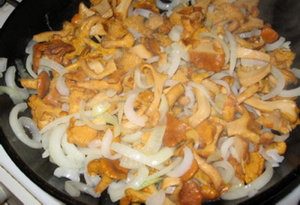 Заек с лисички
