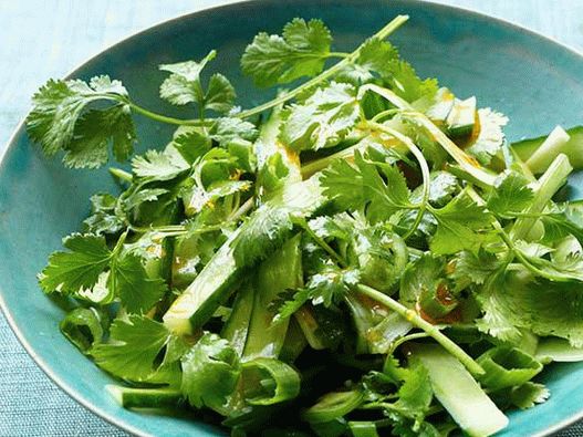 Фото пикантна салата от краставици с цилантро и зелен лук