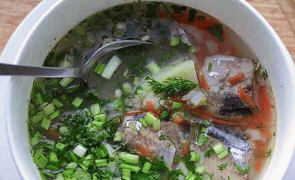 Рибена супа а ерген